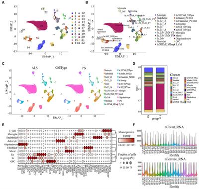 Analysis of damage-associated molecular patterns in amyotrophic lateral sclerosis based on ScRNA-seq and bulk RNA-seq data